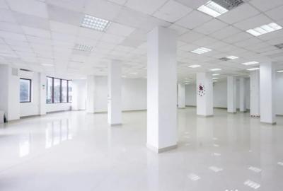 Spațiu comercial, de 250 mp, în Ferdinand - 4