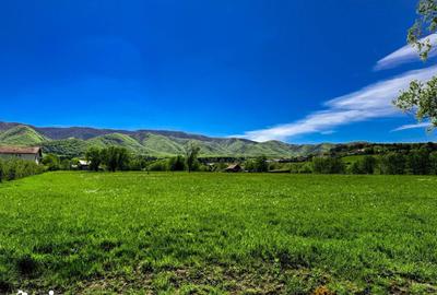 Teren de 2000 mp, în Sadu - 1