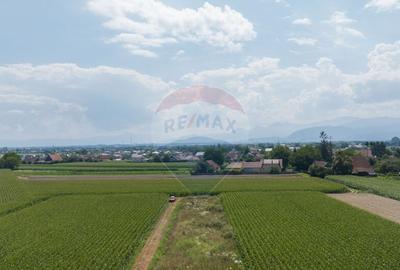 Teren de 1100 mp de vanzare in Stupini - 13