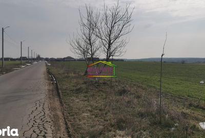 Teren de 7240 mp, în Cernica