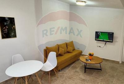 Apartament 2 camere cu terasa Gara de nord - 4