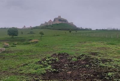 Teren Construcții intravilan de 14000 mp, în Central - 4