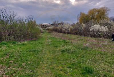 Teren Topoloveni - 3670 mp - langa padure, aproape de Centrul orasului - 1