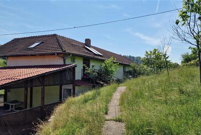 Casă individuală cu 5 camere cu Teren 1316 Mp în Vest - 23