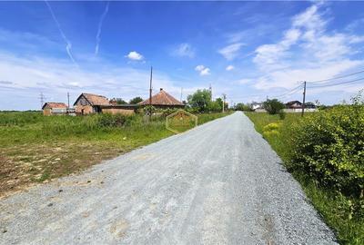 Teren Construcții extravilan de 10850 mp, în Sud - 8