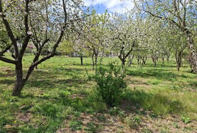 Casă cu 2 camere în Central - 7