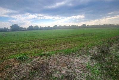 Spațiu comercial, în Butimanu - 1