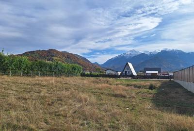 Teren 1000mp cu PUZ in Rasnov, Glajerie - 9