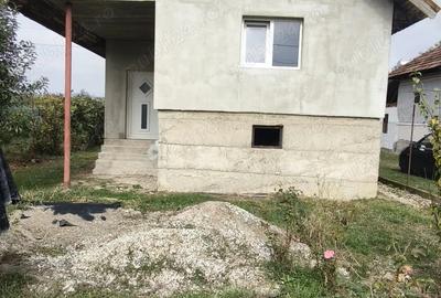Casă cu 5 camere cu Teren 4316 Mp în Telești - 8