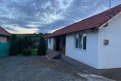 Casa de vanzare pensiune Copaceni langa Turda - 4