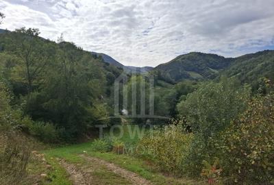 Teren Construcții intravilan de 3622 mp, în Râu Sadului - 4