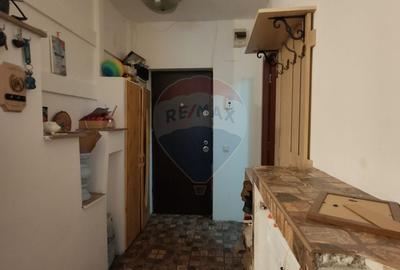 Apartament cu 2 camere semidecomandat, mobilat în Florești - 3