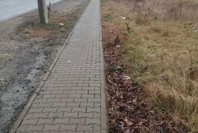 Spațiu comercial, în Dumbrava - 1