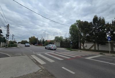 REL4001053 Teren de vanzare Domnesti - 7