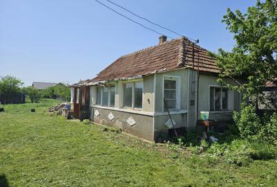 Casă cu 2 camere în Cihei - 5