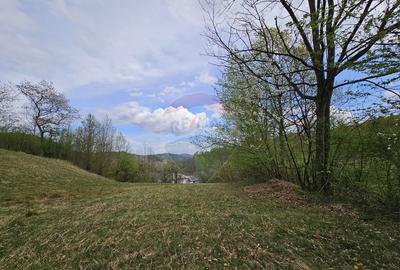 Teren superb, intravilan - la marginea padurii ! - 7