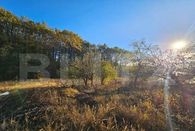 Casa Comuna Plopu , Sat Nisipoasa cu teren aproape de padure Casa Comuna Plopu , Sat Nisipoasa cu teren aproape de padure - 24