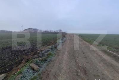 Teren de 8400 mp, în Miroslava