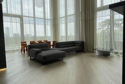 Floreasca | Penthouse | Duplex | Pescariu | 480mp | Gradina - 15