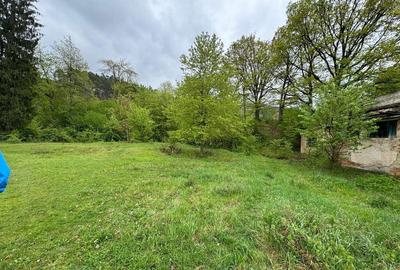 Oportunitate investitie - Covasna 21000mp intravilan - 29