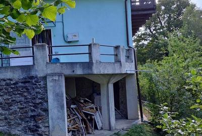 Casă cu 3 camere în Plopi - 4