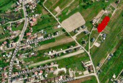 Spațiu comercial, în Central