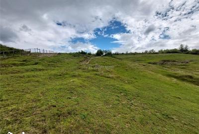 Teren de 10000 mp, în Pănătău - 2