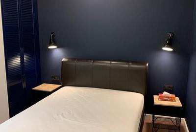 Apartament cu 2 camere semidecomandat, mobilat în Herăstrău - 1