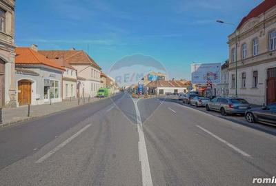 Apartament cochet, 3 camere, acces auto, Centrul Istoric - 14