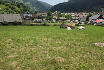 Teren de 6312 mp, în Rucăr - 2