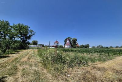 Teren in Dragu?e?ti, la 9 km distan?a de Tg. Jiu - 4