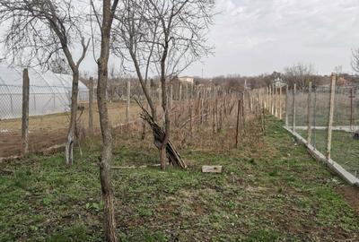 Casă cu 4 camere cu Teren 1400 Mp în Caracal - 8