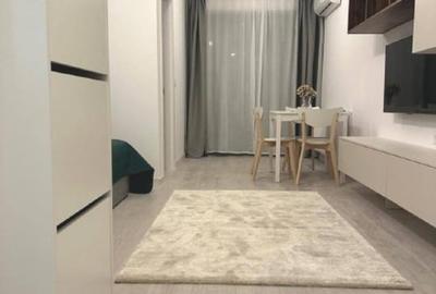 Garsoniera Hils Brauner | Nicolae Teclu | Parcare | Proprietar - 1