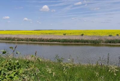 Teren Construcții intravilan de 450 mp, în Frumușani - 7