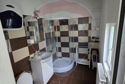 Ansamblu casa de locuit, hala productie ,spatiu de birouri si teren - 12