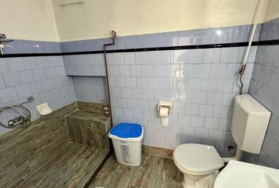 Oază de liniște cu curte în zona Blumana - 15