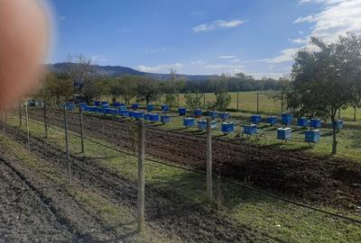 Vand parcela teren extravilan - 4