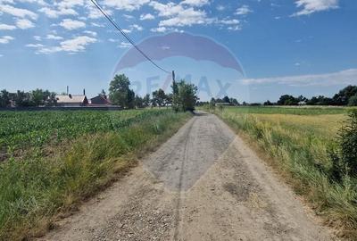 Teren Construcții intravilan de 10001 mp, în Onișcani - 4