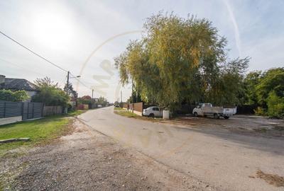 Casa - Golesti - Stefanesti - 3000 Mp Teren - 15