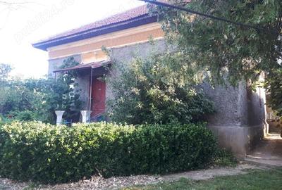 Casă cu 4 camere cu Teren 1000 Mp în Devesel - 2