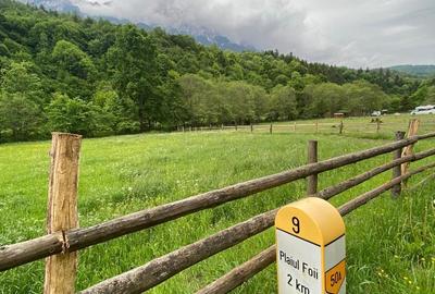 Plaiul Foii, 2.750 mp teren intravilan in zona pitoreasca. - 2