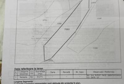 Teren extravilan impadurit, 8271 mp ideal pentru investitie. - 9