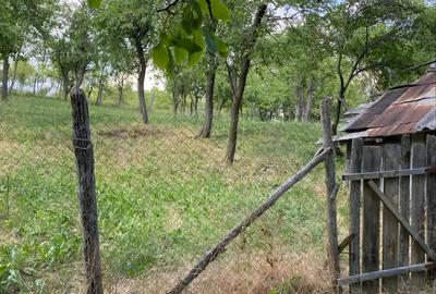 Vand casa Batraneasca - 2