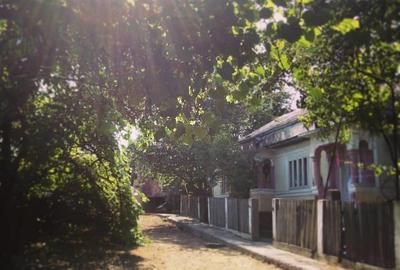 Teren de 4600 mp, în Păunești - 2