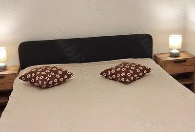 Apartament 2 camere, Dambu, confortabil,bine utilat,mobilat - 8