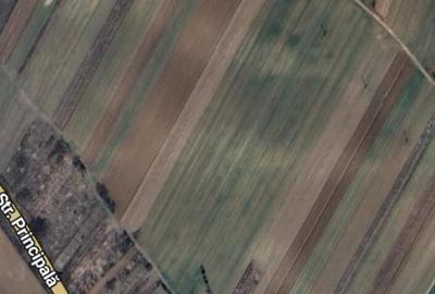 Teren 11000 mp la Dn6 zona Cosoveni - 2