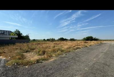 Teren de 1000 mp, în Schitu - 2