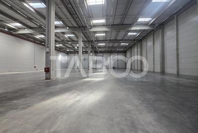 Spatiu depozitare sau industrial de 4000mp de inchiriat in Sibiu - 7