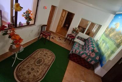 Casa individuala/sat Dobreni comuna Varasti - 8