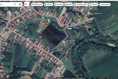 Teren intravilan de vanzare in Alma jud. Sibiu – 7.342 mp - 3